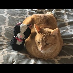 Meet your Posher, Sandy